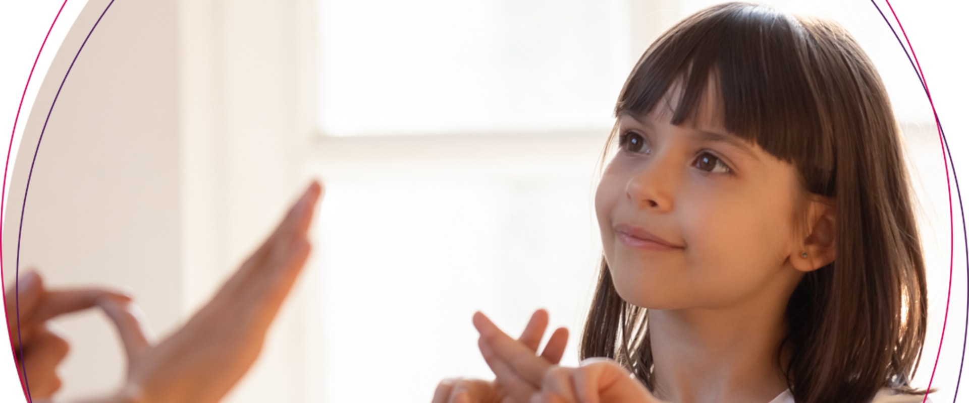 What is the ndis verification document?