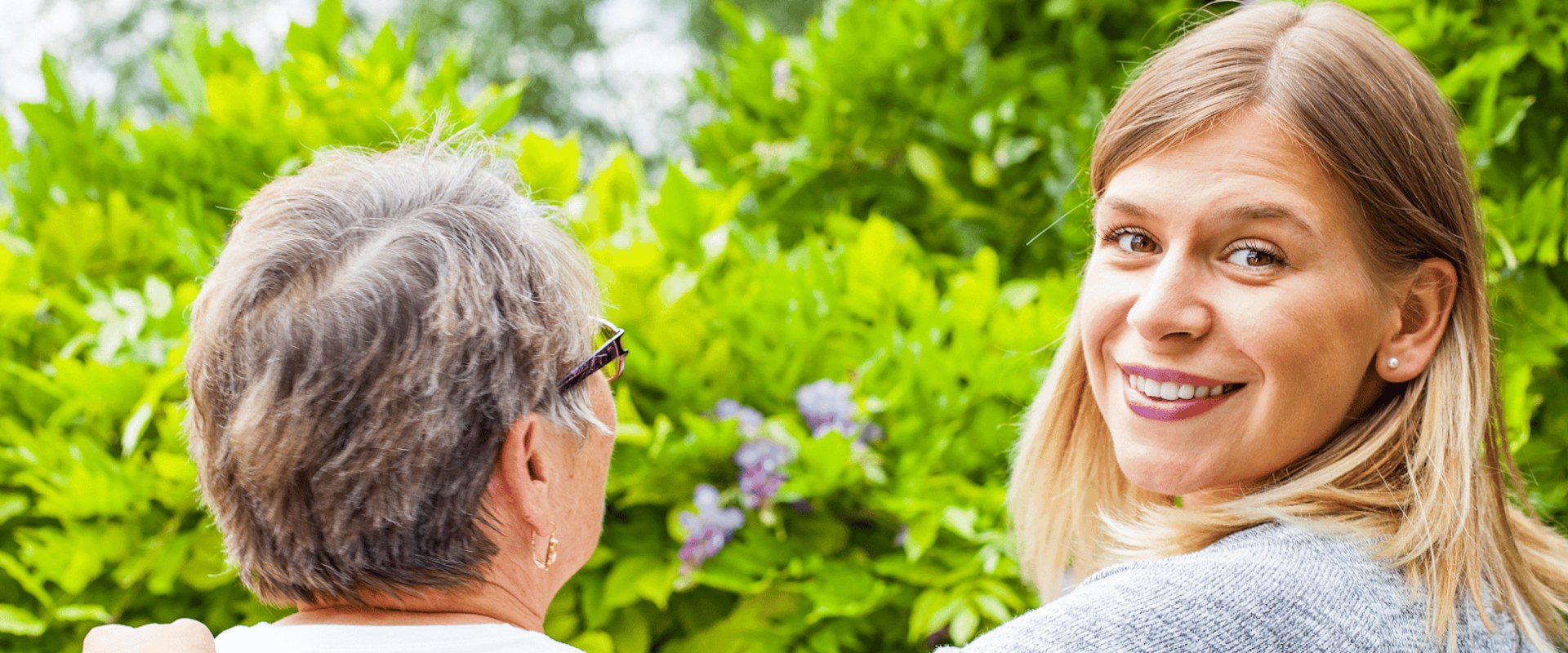 What is required to use the ndis commission portal?